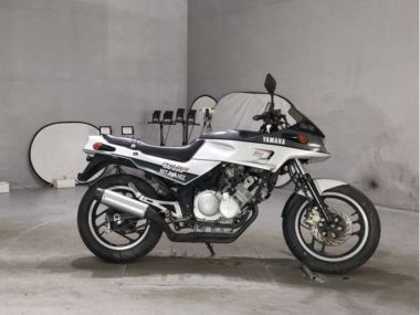 Yamaha FZ250 Feather