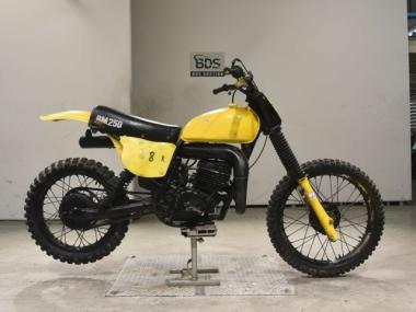 Suzuki RM250