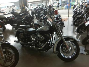 Harley-Davidson Flstc 100th