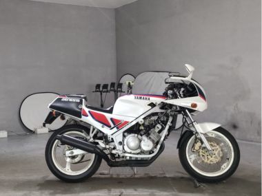 Yamaha FZR250