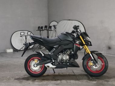 Kawasaki Z125 Pro