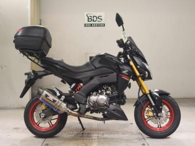 Kawasaki Z125 Pro