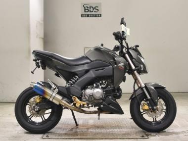 Kawasaki Z125 Pro