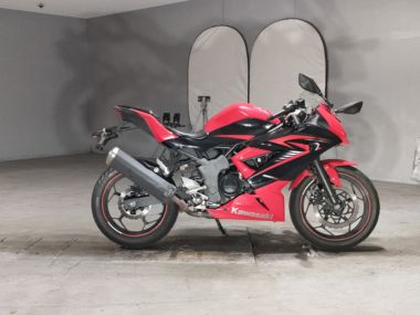 Kawasaki Ninja250sl