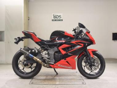 Kawasaki Ninja250sl