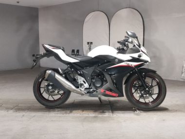 Suzuki GSX250R