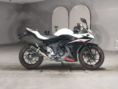 Suzuki GSX250R