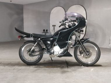 Suzuki Glass Tracker Big Boy