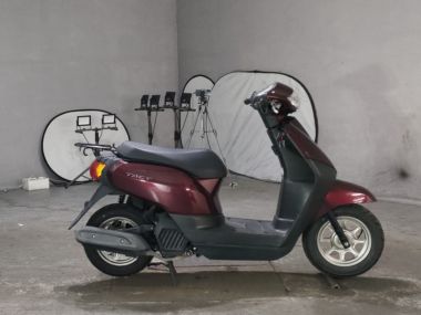 Honda Tact Basic