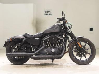 Harley-Davidson XL883N