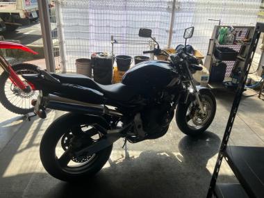 Honda Hornet250