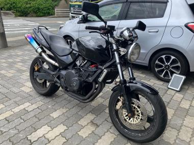 Honda Hornet250