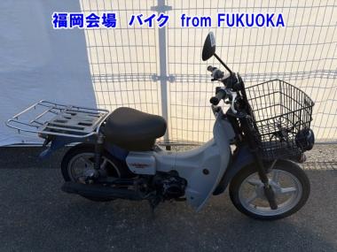 Suzuki Birdie 50
