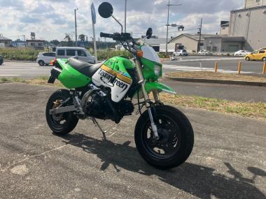 Kawasaki KSR110