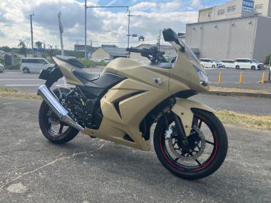 Kawasaki Ninja 250r