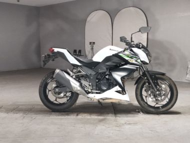 Kawasaki Z250