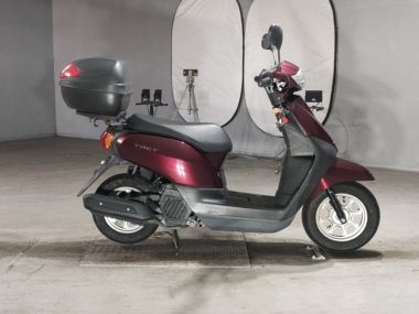 Honda Tact Basic