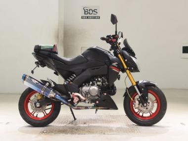 Kawasaki Z125 Pro