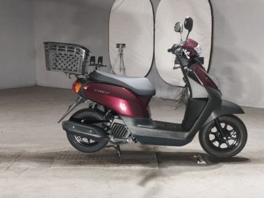 Honda Tact Basic
