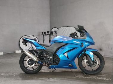 Kawasaki Ninja250r