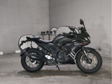 Yamaha FZ250 Feather