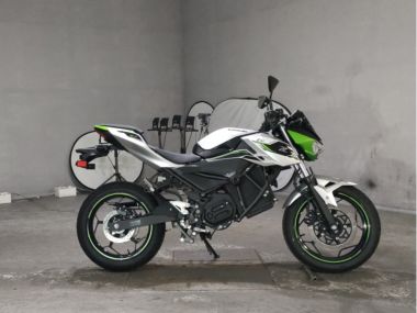 Kawasaki Z E-1