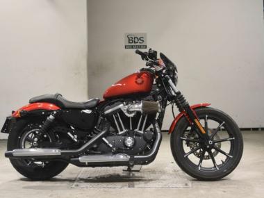 Harley-Davidson XL883N