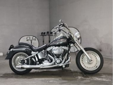 Harley-Davidson Flstf1580