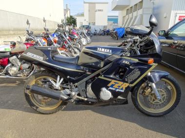 Yamaha FZR250