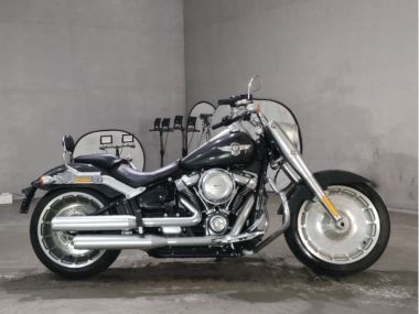 Harley-Davidson Flfb1750