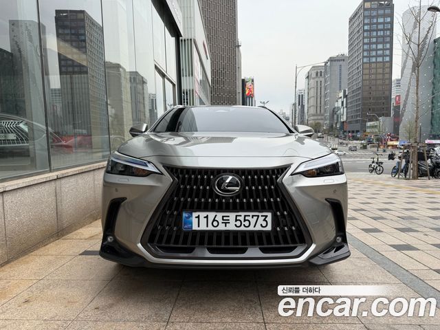 Lexus NX 2025