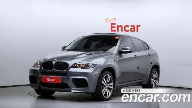 BMW X6M 2010
