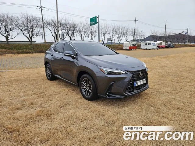 Lexus NX 2023