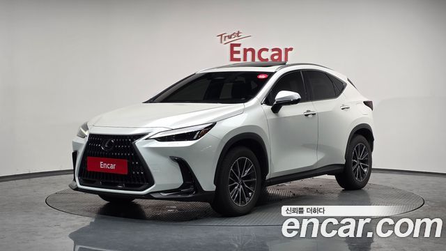 Lexus NX 2024
