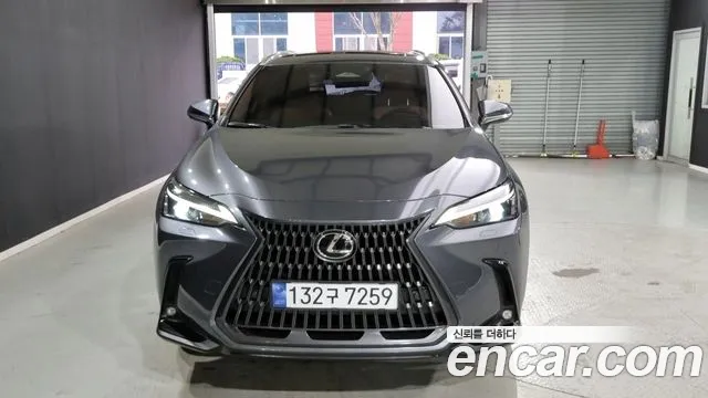 Lexus NX 2023