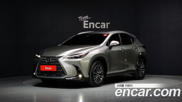 Lexus NX 2025
