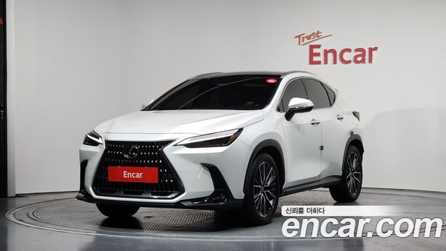 Lexus NX 2024