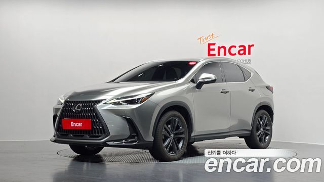 Lexus NX 2023
