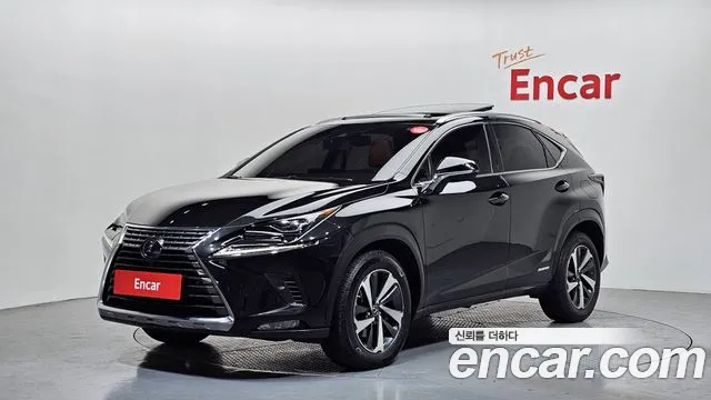 Lexus NX 2020