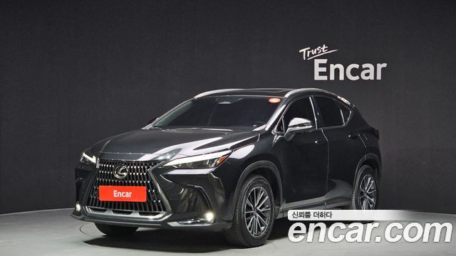 Lexus NX 2023
