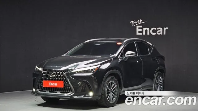 Lexus NX 2023