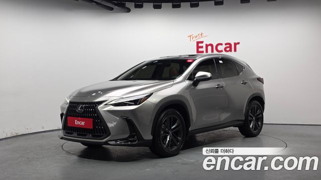 Lexus NX 2024
