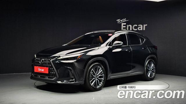 Lexus NX 2024