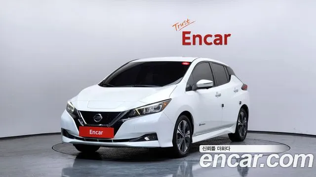 Nissan Leaf 2019