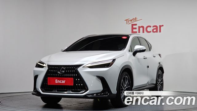 Lexus NX 2023