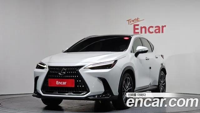 Lexus NX 2023