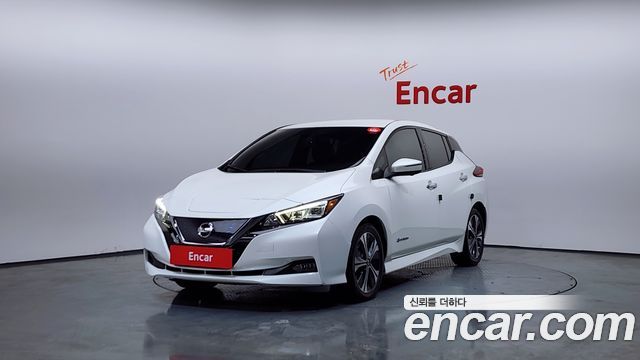 Nissan Leaf 2019