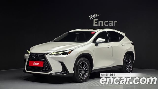 Lexus NX 2024