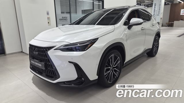 Lexus NX 2023