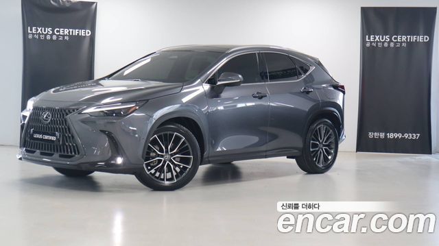 Lexus NX 2025